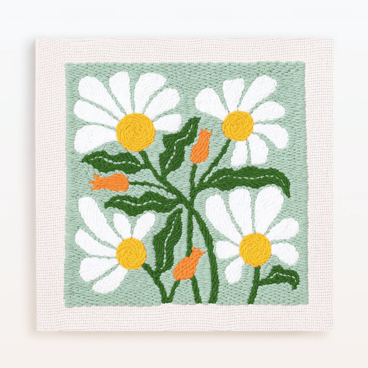 Daisy Meadow
